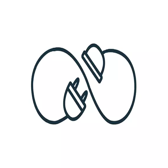 Logo of Rivaayat platform made for people to share things with the world.